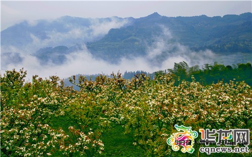 —210国道——杜市镇——太公山 江津区内