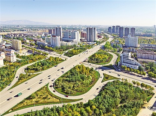 图为泰安市东平县稻屯洼水上森林.杜 辉摄