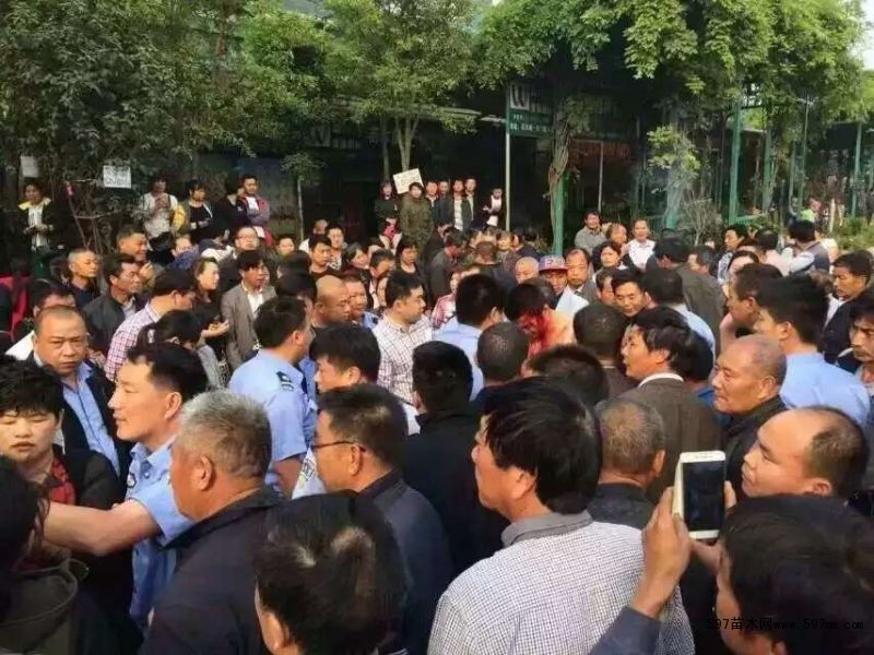 新街花木城市场发生一起打架斗殴事件