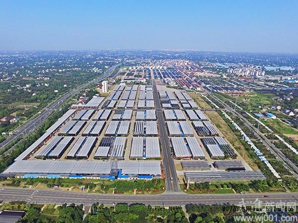夏溪花木市场1~7月份销售超百亿元