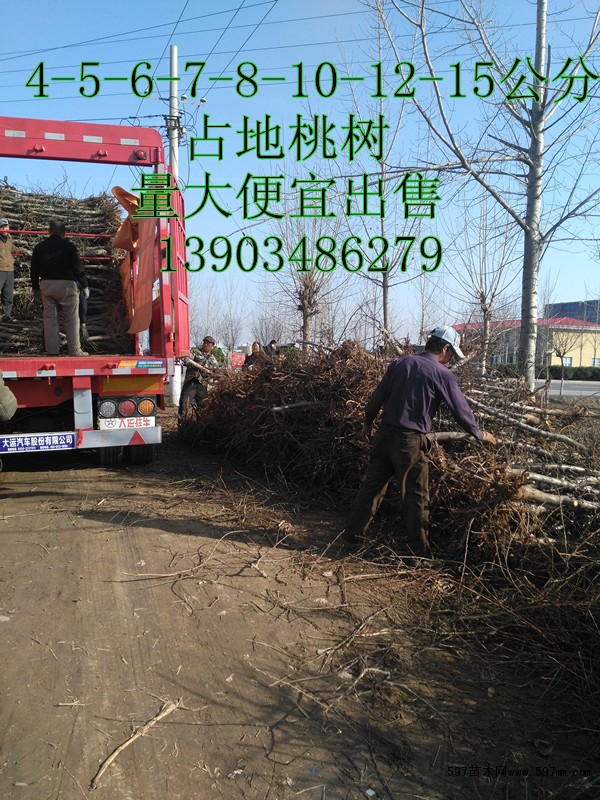 点击打开原图