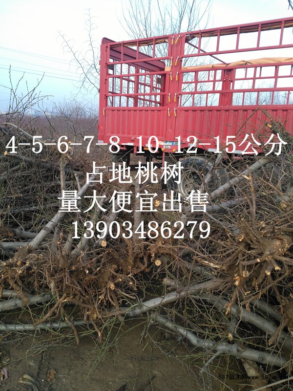 点击打开原图