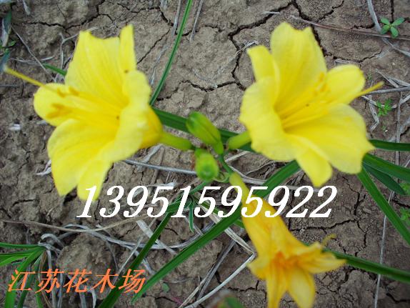 点击打开原图