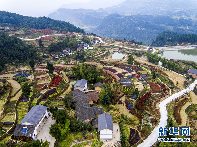 江津太公山风景区图片